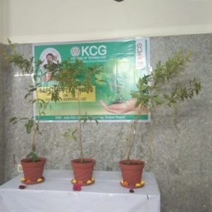 Three Sapotta Saplings