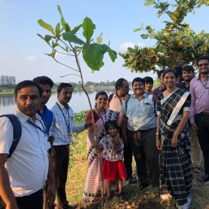 Tree Sapling Plantation
