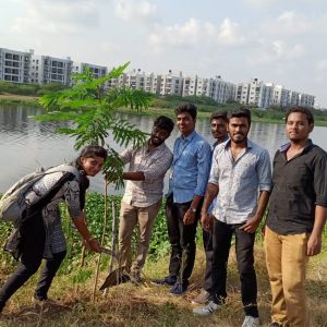 Tree Sapling Plantation