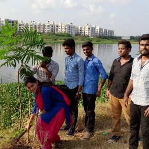 Tree Sapling Plantation
