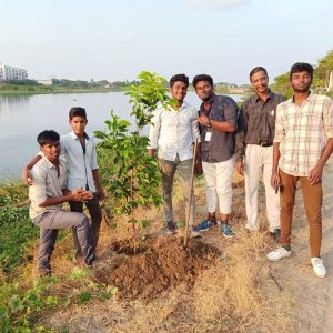 Tree Sapling Plantation