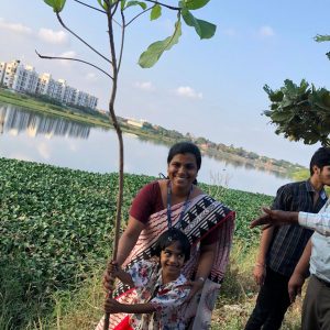 Tree Sapling Plantation
