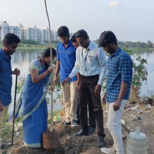 Tree Sapling Plantation