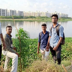Tree Sapling Plantation