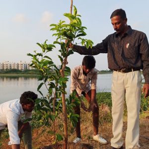 Tree Sapling Plantation
