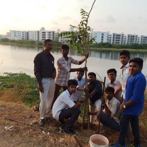 Tree Sapling Plantation
